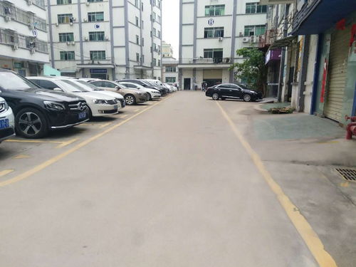 深圳坂田汽車站旁優質標準廠房出租，550平高標空間，滿足多樣化需求